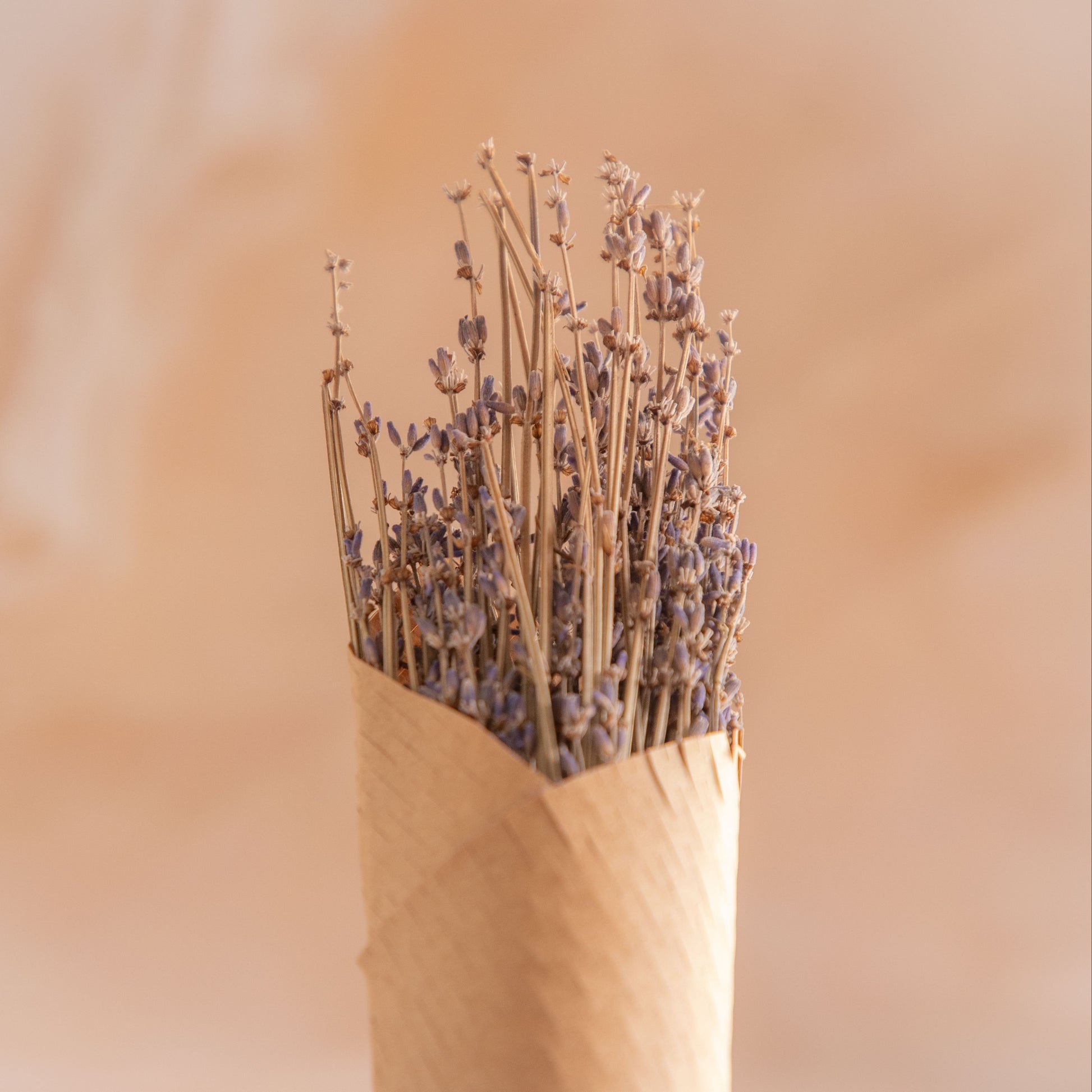 Lavender Stick Bunch