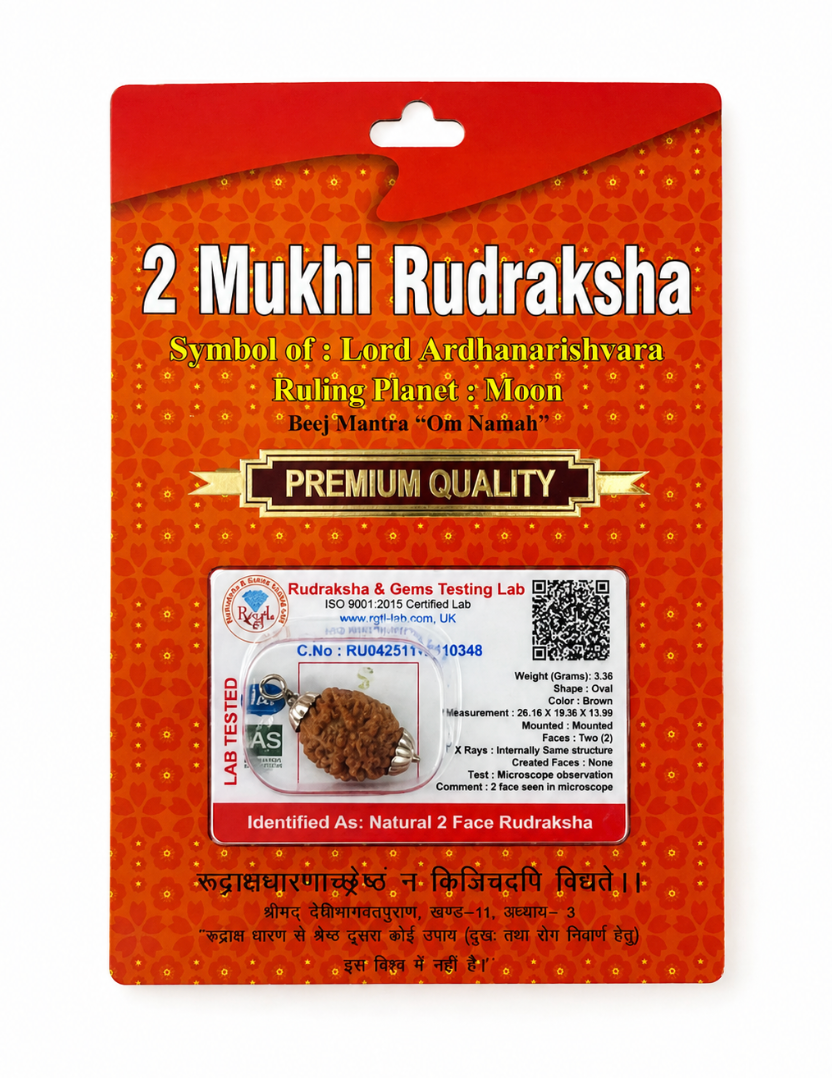 2 Mukhi Rudraksha Bead