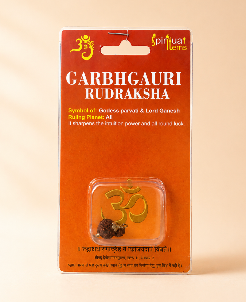 Garbhgauri Rudraksha Bead
