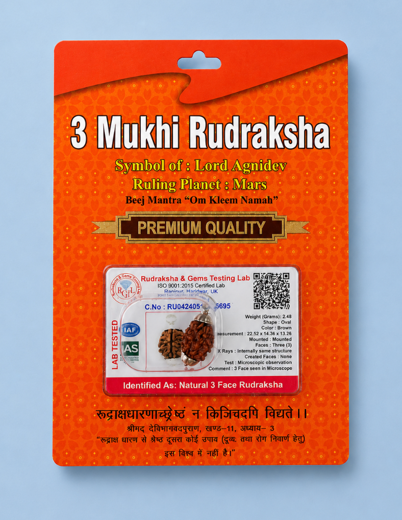 3 Mukhi Rudraksha Bead